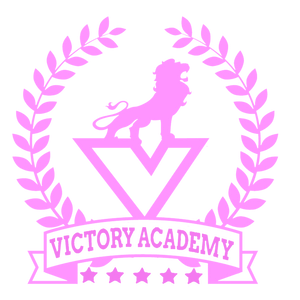 Victory Academy Custom Glitter or Color  Hoodie or Shirt ( Logo white )